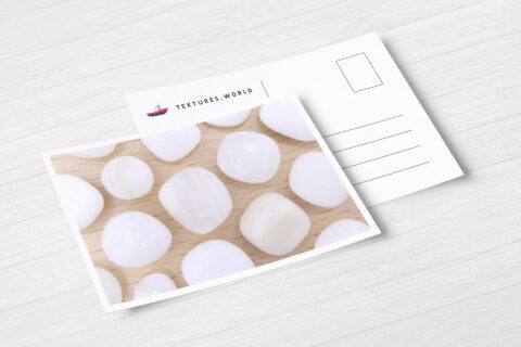 Postcard Tridacna Background Textures Modern Poster Preview