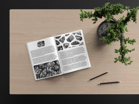 Snowflake Background Textures Magazine Article Preview