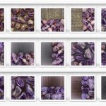 Rutilated Amethyst  Background Textures Showcase Shelfs Samples Preview