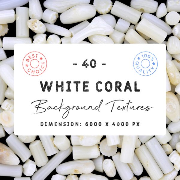 White Coral Background Textures Square Cover Preview