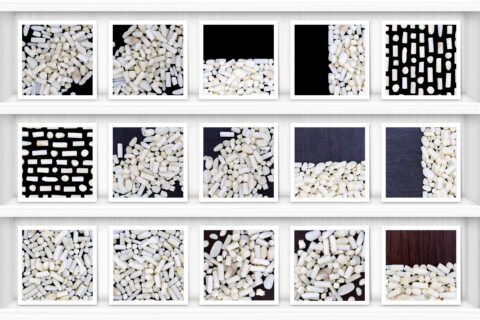 White Coral Background Textures Showcase Shelves Samples Preview