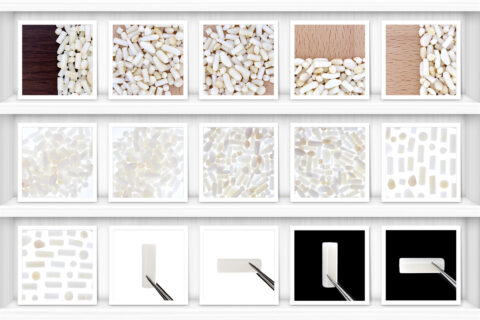 White Coral Background Textures Showcase Shelves Samples Preview