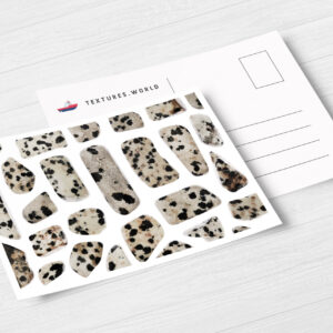 Postcard Dalmatian Jasper Background Textures Modern Poster Preview