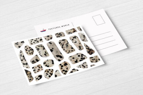 Postcard Dalmatian Jasper Background Textures Modern Poster Preview
