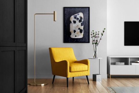 Living Room Dalmatian Jasper Background Textures Modern Poster Preview