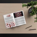 Red Jasper Background Textures Modern Magazine Article Illustrations Preview