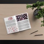 Strawberry Quartz Background Textures Modern Magazine Article Illustrations Preview