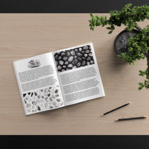 Tourmalinated Quartz Background Textures Modern Magazine Article Illustrations Preview