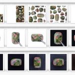 Unakite Background Textures Showcase Shelves Samples Preview