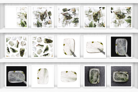 Green Rutilated Background Textures Showcase Shelves Samples Preview