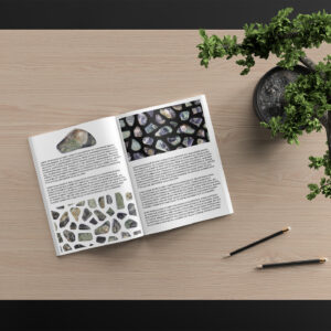 Kambaba Jasper Background Textures Modern Magazine Article Illustrations Preview
