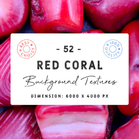 Red Coral Background Textures Square Cover Preview