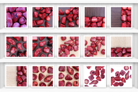 Red Coral Background Textures Showcase Shelves Samples Preview