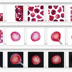 Red Coral Background Textures Showcase Shelves Samples Preview