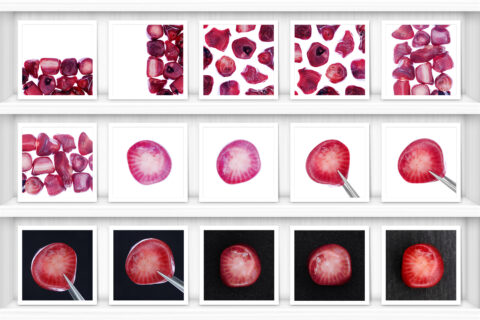 Red Coral Background Textures Showcase Shelves Samples Preview