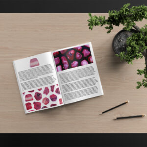 Red Coral Background Textures Modern Magazine Article Illustrations Preview