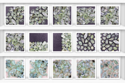 Prehnite Background Textures Showcase Shelves Samples Preview