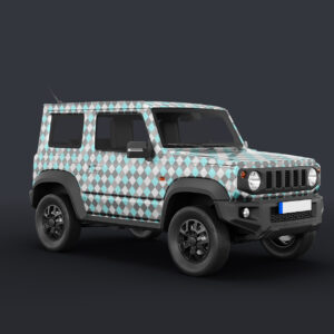30 French Checkered Patterns Car Application Preview