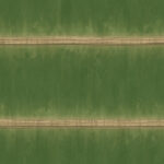 Green bamboo wooden planks background. Seamless bamboo texture. Bamboo wood backdrop.