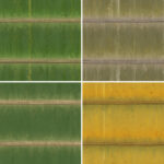 20 Bamboo Background Textures Square Samples Preview 1