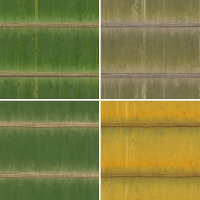 20 Bamboo Background Textures Square Samples Preview 1