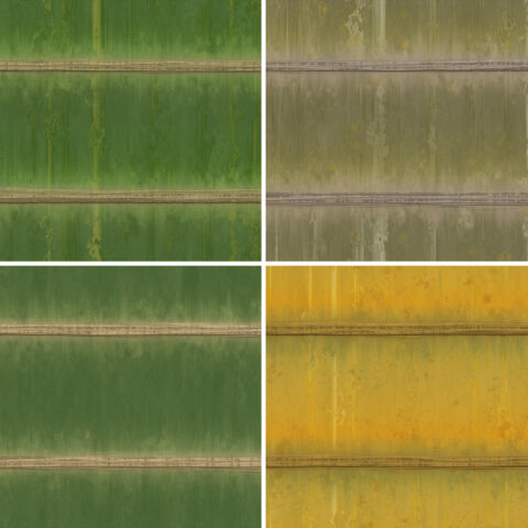 20 Bamboo Background Textures Square Samples Preview 1