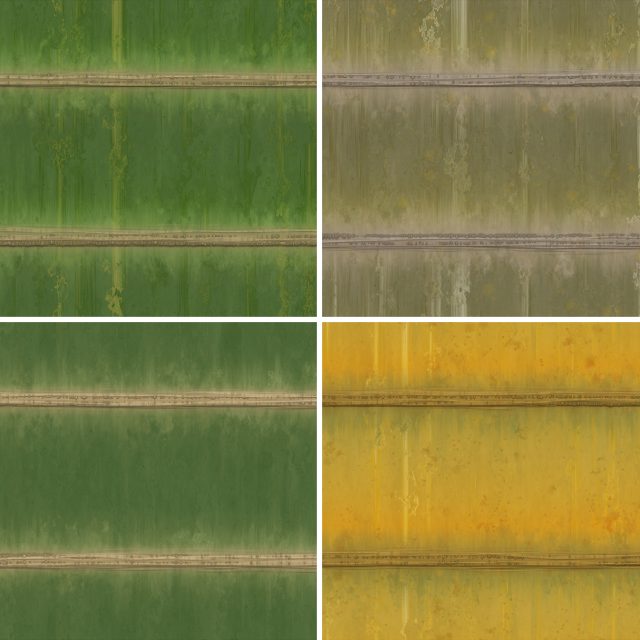 20 Bamboo Background Textures Square Samples Preview 1