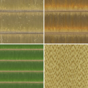 20 Bamboo Background Textures Square Samples Preview 2