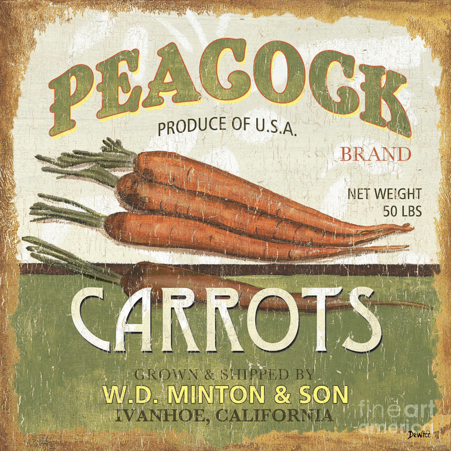Advertising Banners with Orange Textures. Pic 3.