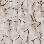 Corroded dirty white steel sheet with scratches. Metal texture. Grunge metallic background. Painted wall backdrop.