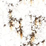 Painted white wall backdrop. Corroded rusty dirty steel sheet. Metal texture. Grunge metallic background.