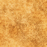 Hard rough vintage antique yellow seamless leather texture. Skin background. Leathern surface.