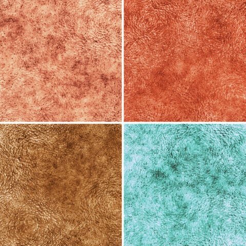 Square Samples Preview - 5