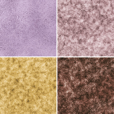 Square Samples Preview - 7