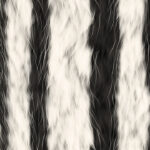 Striped black and white wild animal design. Fuzzy fashion creative. Wool texture. Fur background. Warm surface. Hairy pattern. Furry backdrop.