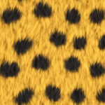 Spotted leopard yellow hairy pattern. Furry backdrop. Wild animal design. Fuzzy fashion creative. Wool texture. Fur background. Warm surface.