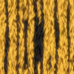 Striped yellow tiger warm surface. Hairy pattern. Furry backdrop. Wild animal design. Fuzzy fashion creative. Wool texture. Fur background.