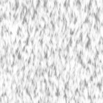 White fur background. Warm surface. Hairy pattern. Furry backdrop. Wild animal design. Fuzzy fashion creative. Wool texture.