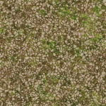 Cracked ground with moss seamless texture. Dry land with grass background. Ecology terrain backdrop. Summer desert with mossy cracks surface. Hot grunge weather climate pattern.