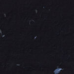 Kraft unique organic art design black paper texture with detailed blue leafs fibers