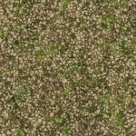 Hot grunge weather climate seamless pattern. Cracked ground with moss texture. Dry land with grass background. Ecology terrain backdrop. Summer desert with mossy cracks surface.