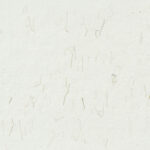 Kraft unique organic paper texture with detailed palm fibers