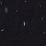 Natural chinese floral decorative black paper texture