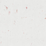 Natural Chinese floral decorative fibers red flowers paper texture background