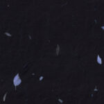Handmade rice black paper texture with small blue petals