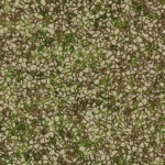 Ecology terrain seamless backdrop. Summer desert with mossy cracks surface. Hot grunge weather climate pattern. Cracked ground with moss texture. Dry land with grass background.