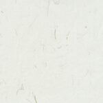 Hand made antique blank sheet paper texture with green plant fibers