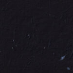 Kraft unique organic art design black paper texture with detailed blue leafs fibers