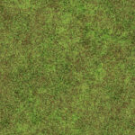 Land with grass seamless background. Ecology terrain backdrop. Summer desert with mossy cracks surface. Hot grunge weather climate pattern. Grass texture.