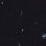 Handmade rice black paper texture with small blue petals